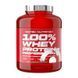 Scitec Nutrition 100% Whey Protein Professional (2,3 kg, kiwi banana)