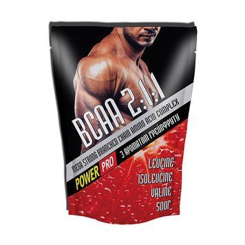 Power Pro BCAA 2:1:1 (500 g, журавлина) 08055-08055-02 фото