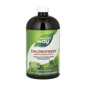 Nature's Way Chlorofresh Liquid Chlorophyll (480 ml, mint) 20586-01 фото