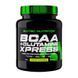 Scitec Nutrition BCAA + Glutamine Xpress (600 g, lime)