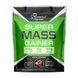 Powerful Progress Super Mass Gainer (4 kg, vanilla)